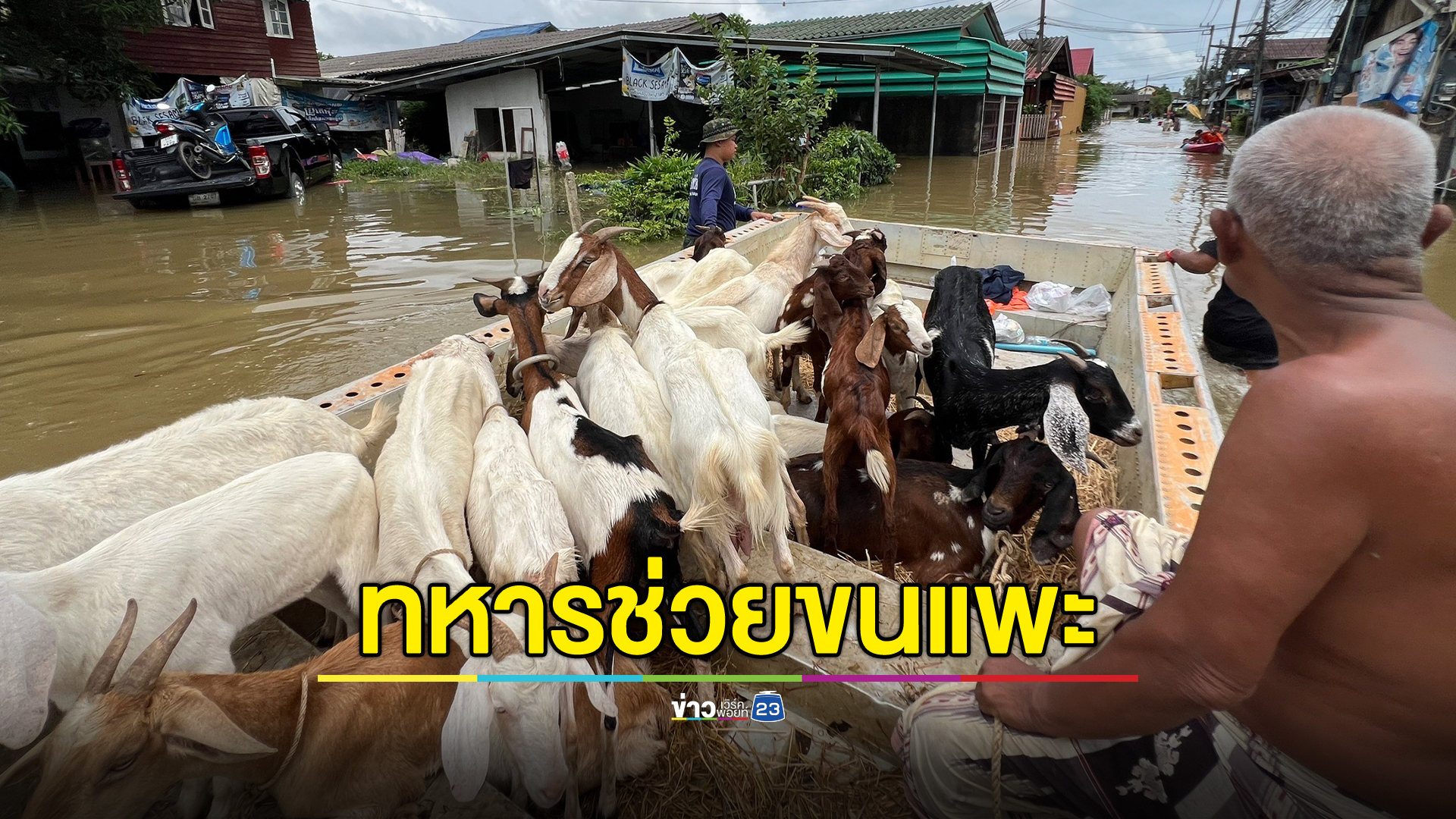 อัปเดต"น้ำท่วมตราด"ทหารช่วยขนแพะหนีตาย