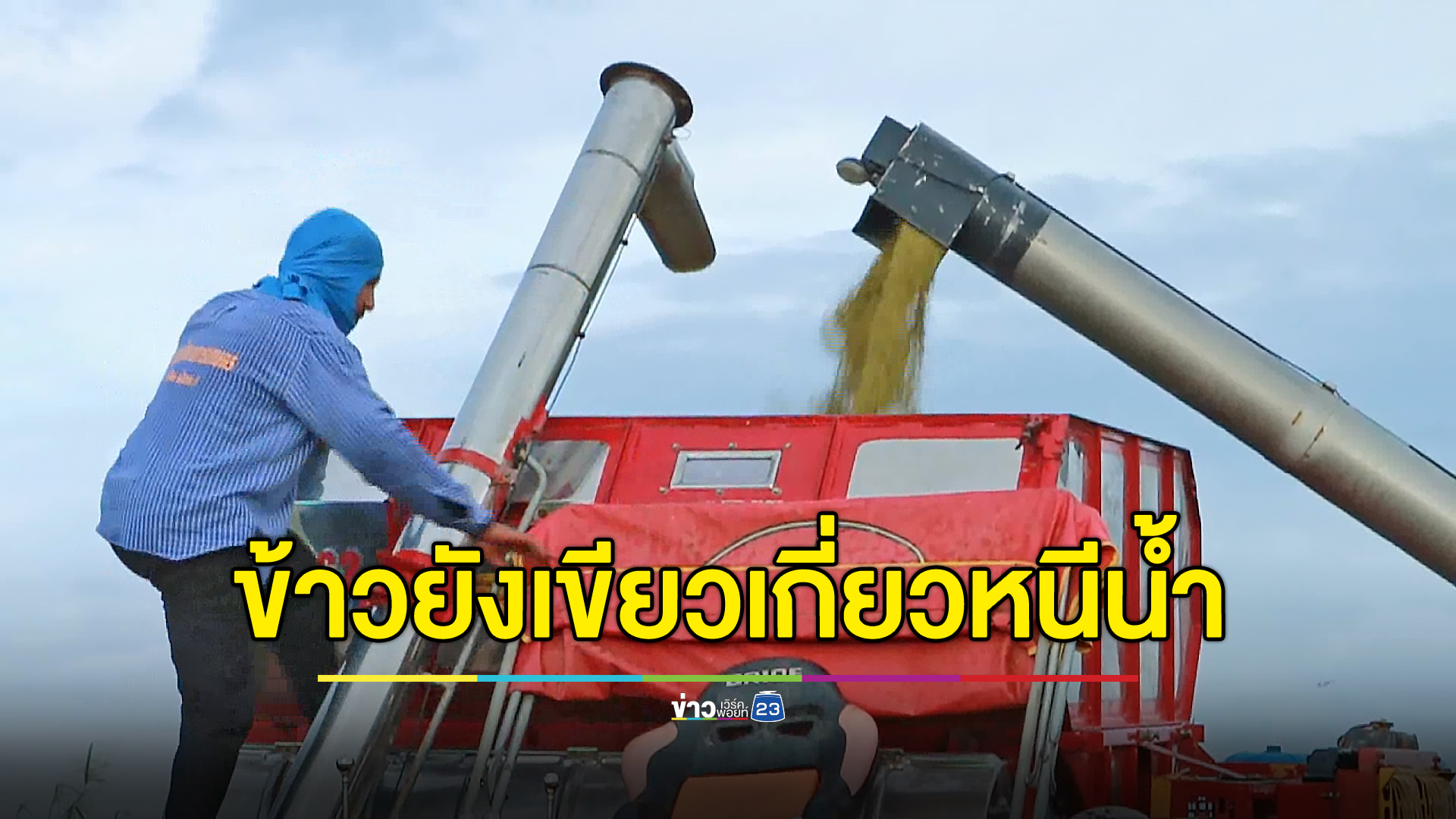 ข้าวยังเขียวต้องเกี่ยวหนี น้ำคลองสาขาแม่น้ำยมล้นท่วม
