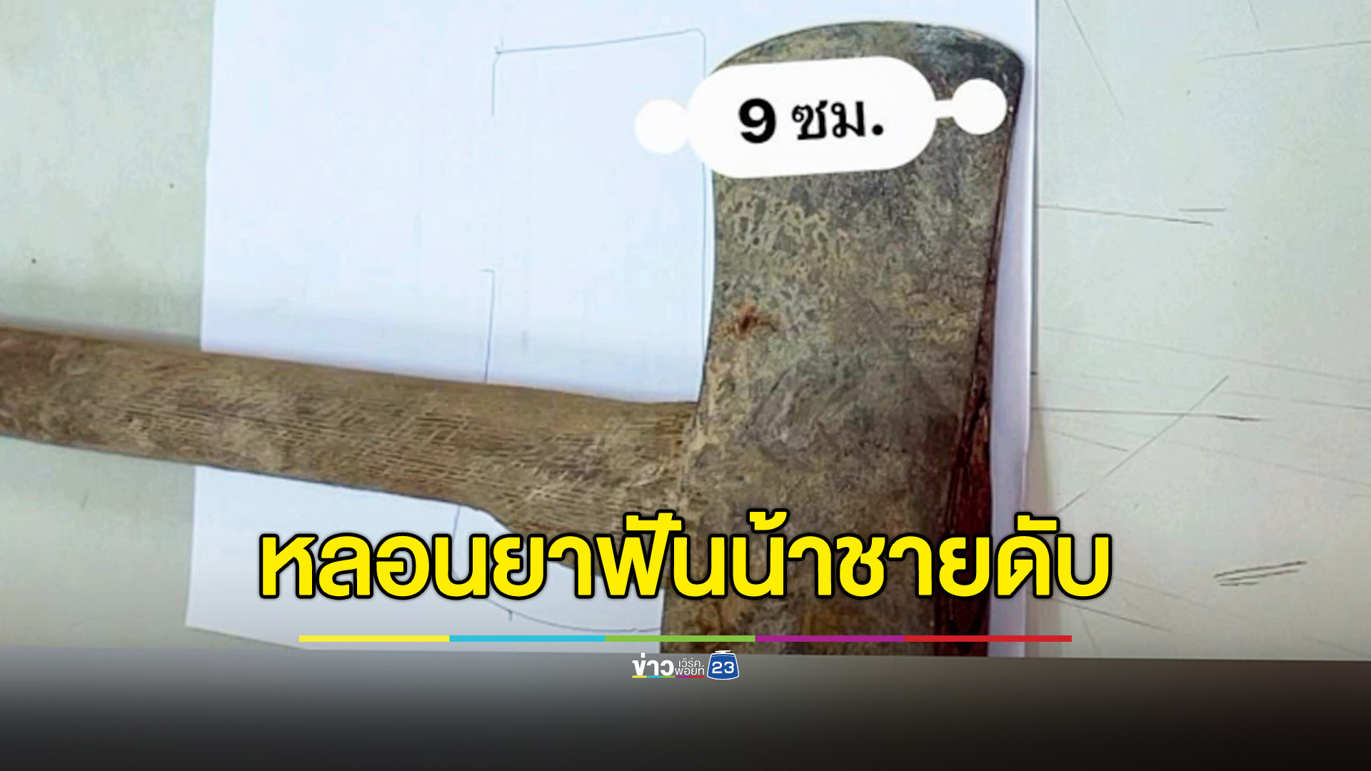 หลานชายหลอนยา ขวานฟันน้าชายดับ