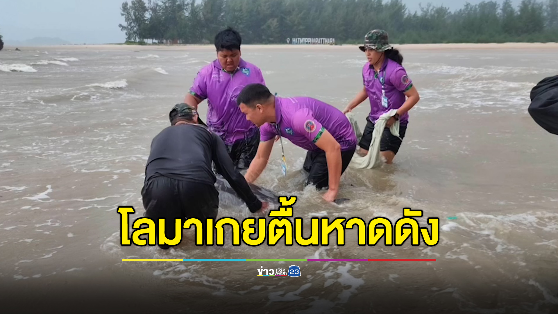 ระดมช่วยโลมาปากขวดเกยตื้นอ่าวดังกระบี่