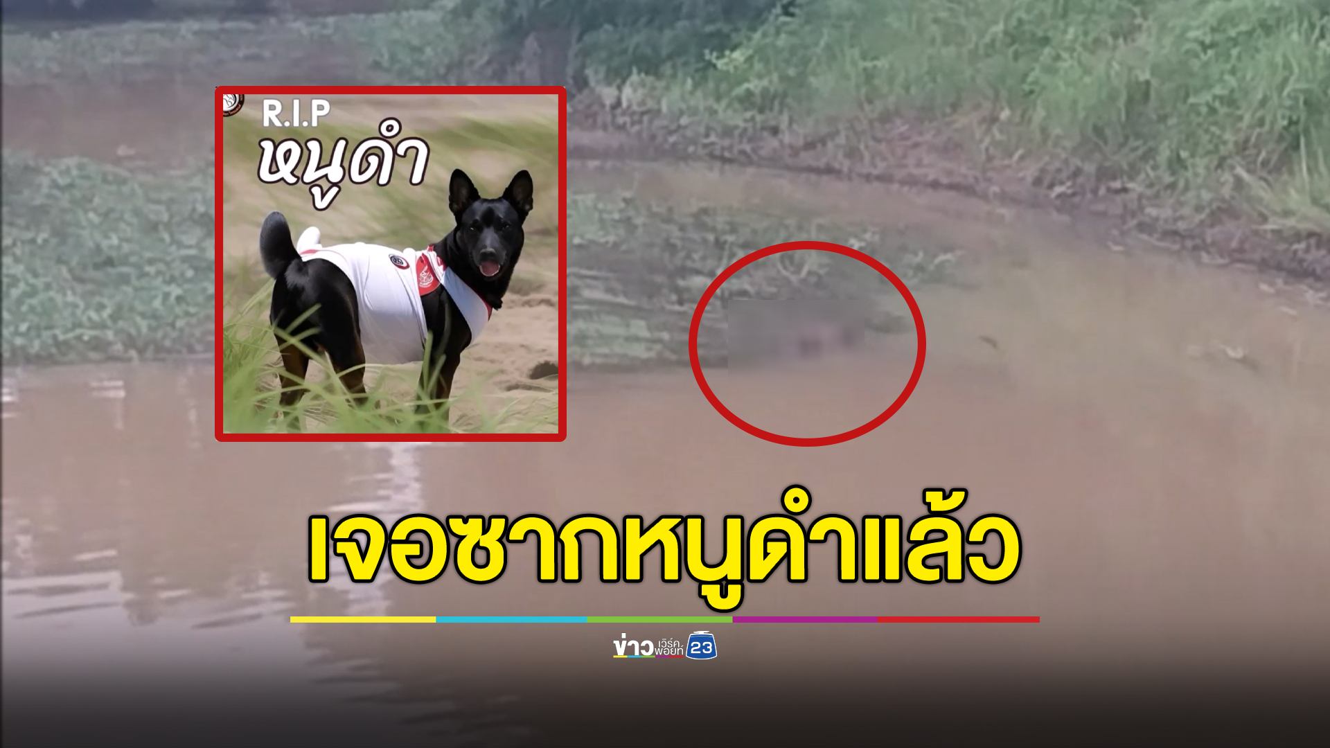 ปู่แค้นสุนัขพาหลานจมน้ำดับ ก่อนพบศพสุนัขชื่อ"หนูดำ"ในห้วย เชื่อฝีมือปู่