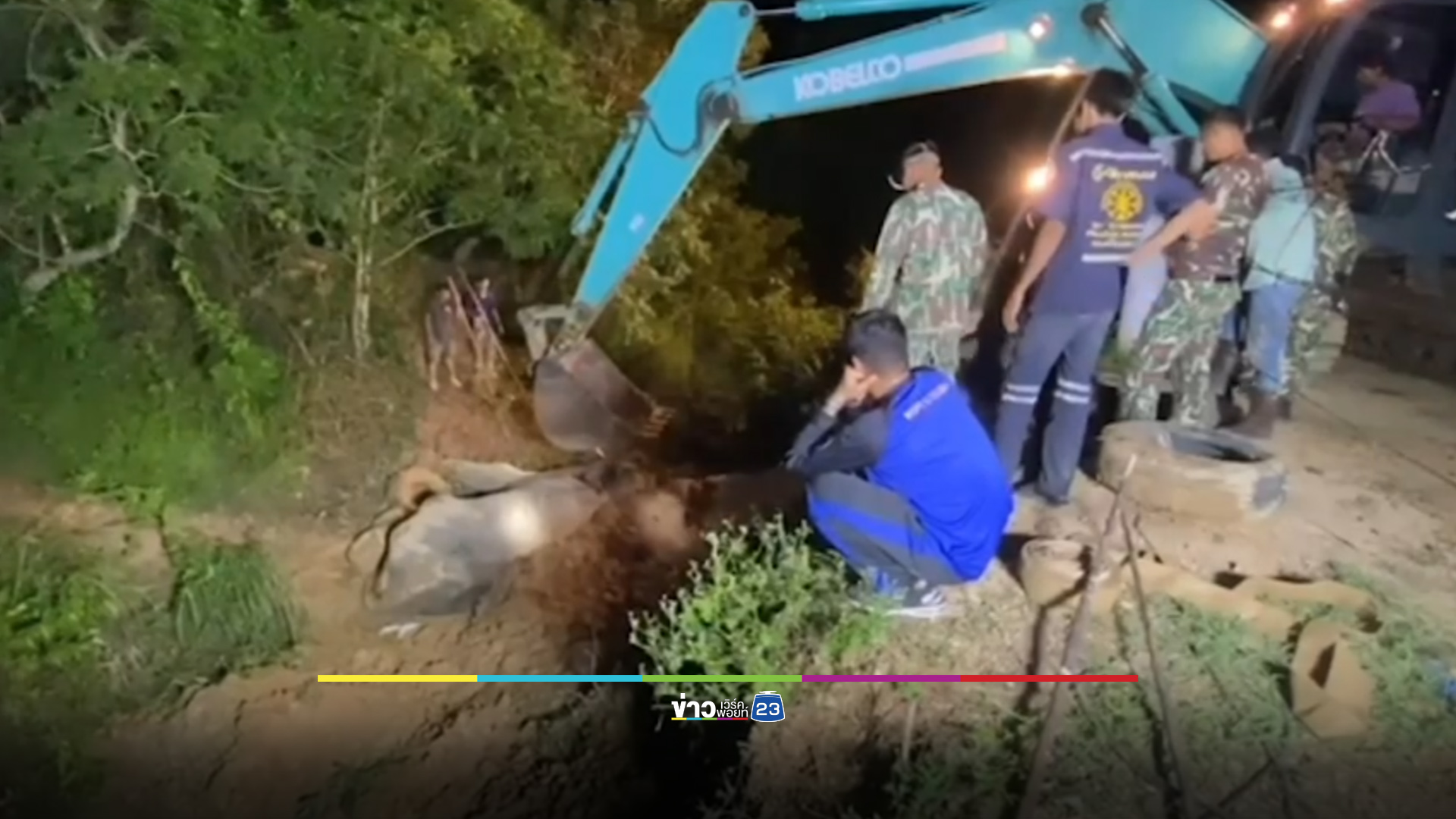 สุดยื้อ ช้างสีดอเฒ่า อายุ 50 ปี ตายคาคูกั้นช้าง