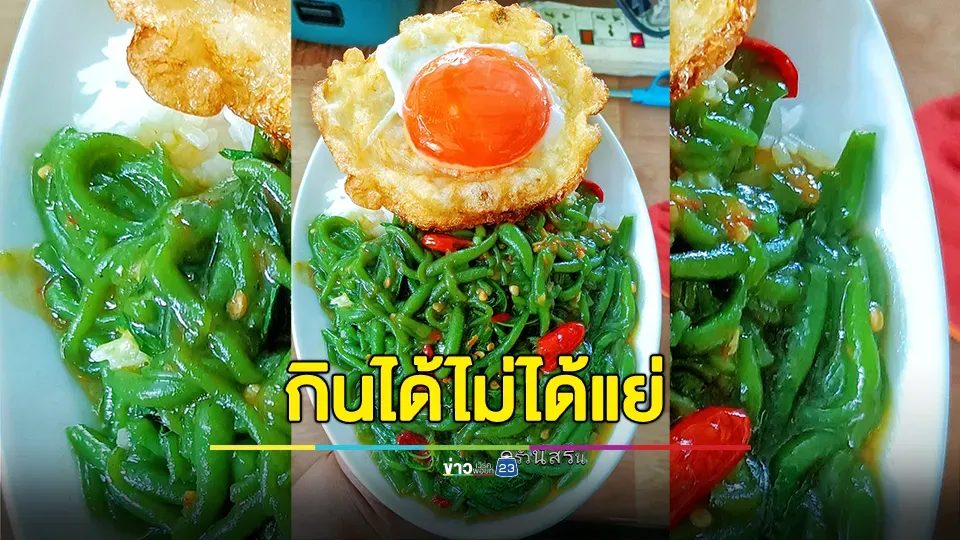 จัดให้ตามคำขอ! กะเพราลอดช่องไข่เป็ดดาว กินได้ไม่ได้เเย่