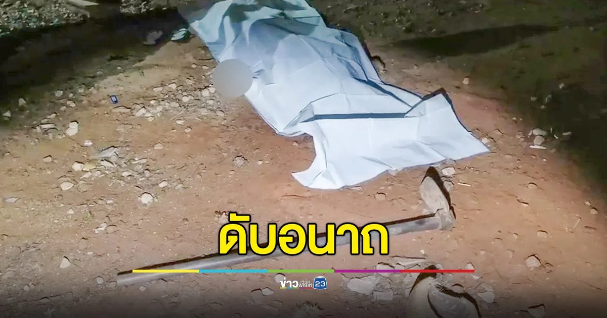 น้องชายฉุนโดนด่า คว้าจอบฟาดหัวกระทืบซ้ำ พี่ชายดับคาที่