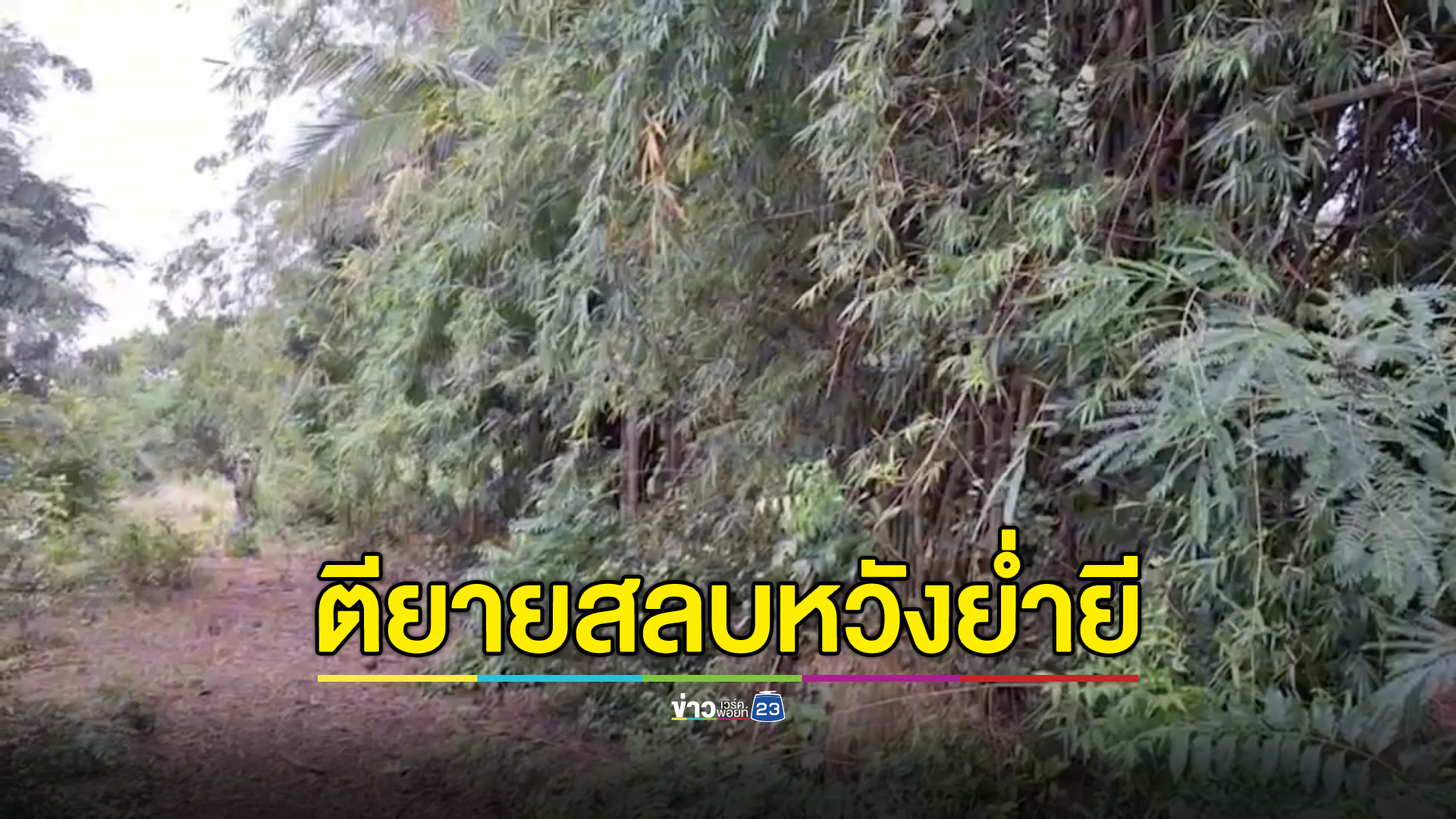 ล่าเฒ่าหื่นคว้าเสียมตียายสลบหวังย่ำยีกลางป่า
