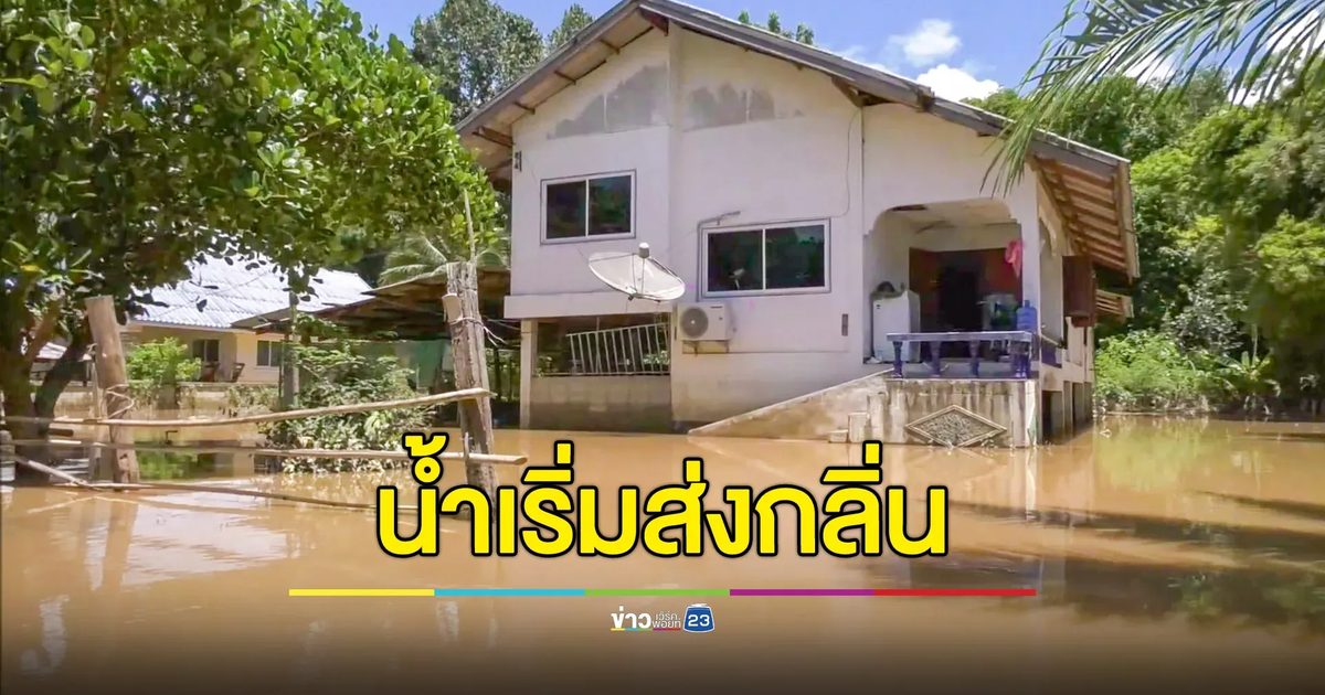 น้ำเมืองเทิงเริ่มส่งกลิ่น เกษตรกรขอรัฐเยียวยา กู้เงินเลี้ยงกุ้งหายหมด