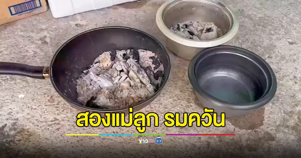 ลูกสาวมีหนี้สินรุมเร้า รมควันในห้องนอนพร้อมแม่ หวังลาโลก