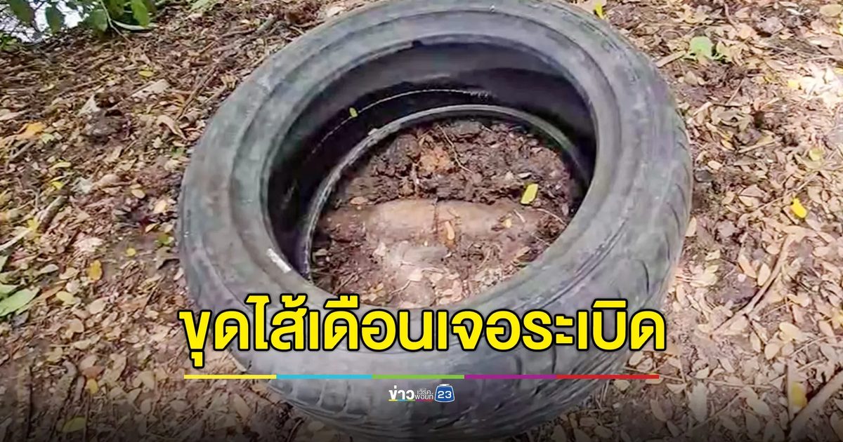 ขุดไส้เดือน เจอลูกระเบิด