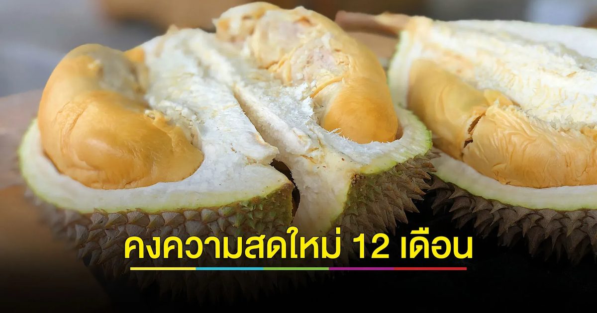 'ทุเรียนแช่เยือกแข็ง' ตอบโจทย์การส่งออกตามแนวทางเศรษฐกิจใหม่