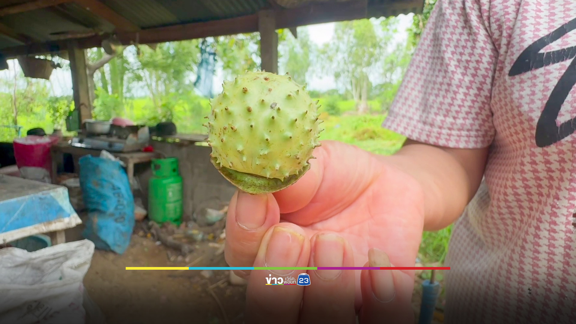 คืบ! ดื่มน้ำต้มมะเขือบ้า ล่าสุดออกจาก รพ.แล้ว เผยไม่โกรธเมีย