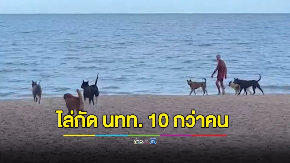 ฝรั่งเลี้ยงหมาปล่อยไล่กัดนักท่องเที่ยวทั้งชาวไทยและต่างชาติเจ็บ วอนหน่วยงานแก้ปัญหา