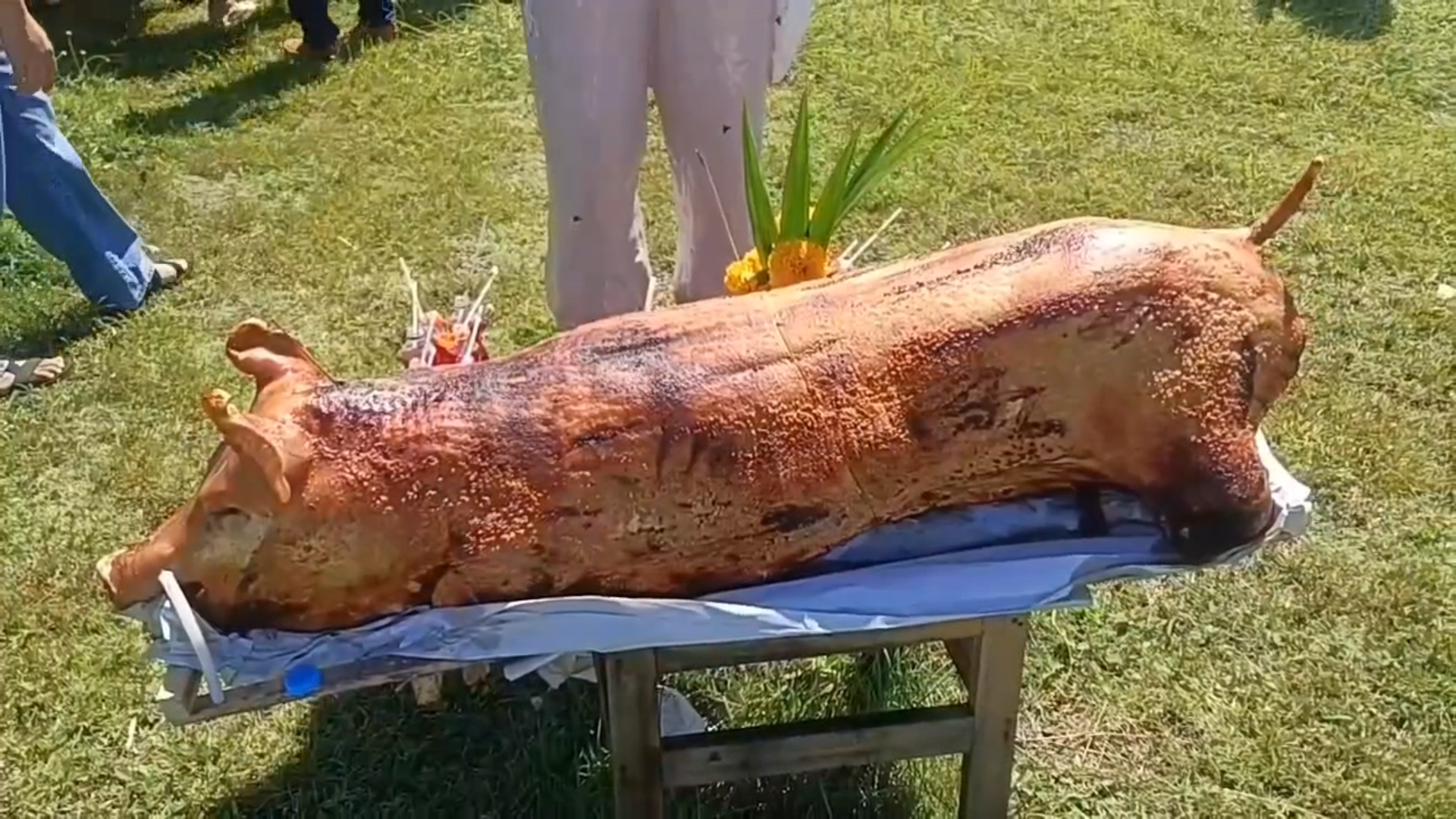 เซ่นหมูย่าง รำกลองยาว"แก้บนจ่าเฉย"บรรจุครูสำเร็จ