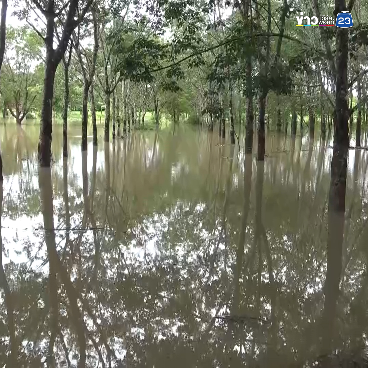ฝนถล่มบึงกาฬ 2 วันติด น้ำทะลักท่วมพื้นที่เกษตรเสียหายหลายร้อยไร่