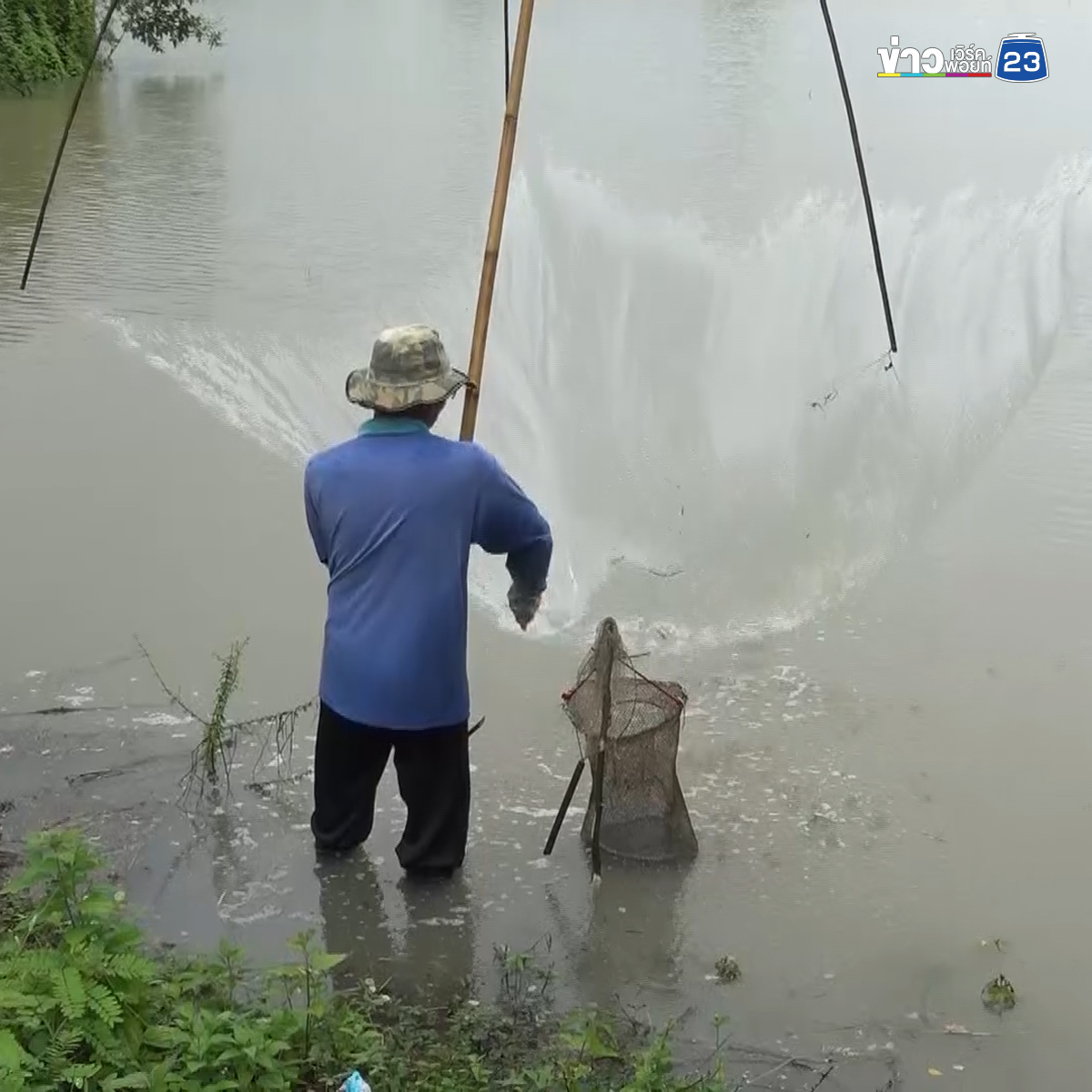 ฝนถล่มบึงกาฬ 2 วันติด น้ำทะลักท่วมพื้นที่เกษตรเสียหายหลายร้อยไร่