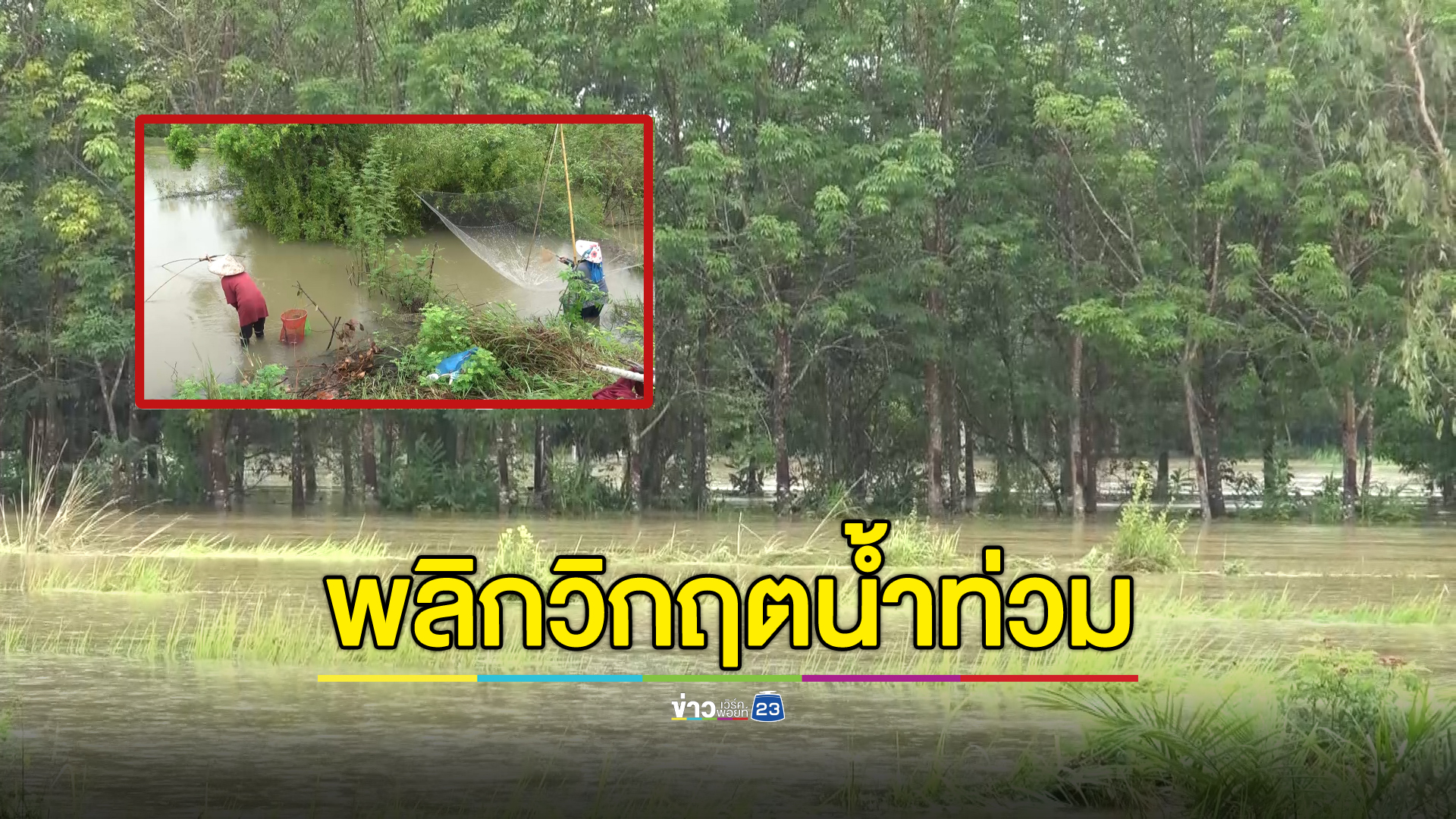 ฝนถล่มบึงกาฬ 2 วันติด น้ำทะลักท่วมพื้นที่เกษตรเสียหายหลายร้อยไร่