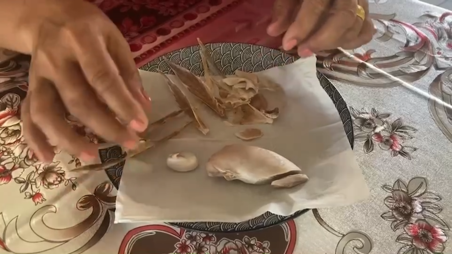 แปลกใจ! เจอก้อนกลมคล้ายไข่มุกในปลาโฉมงาม