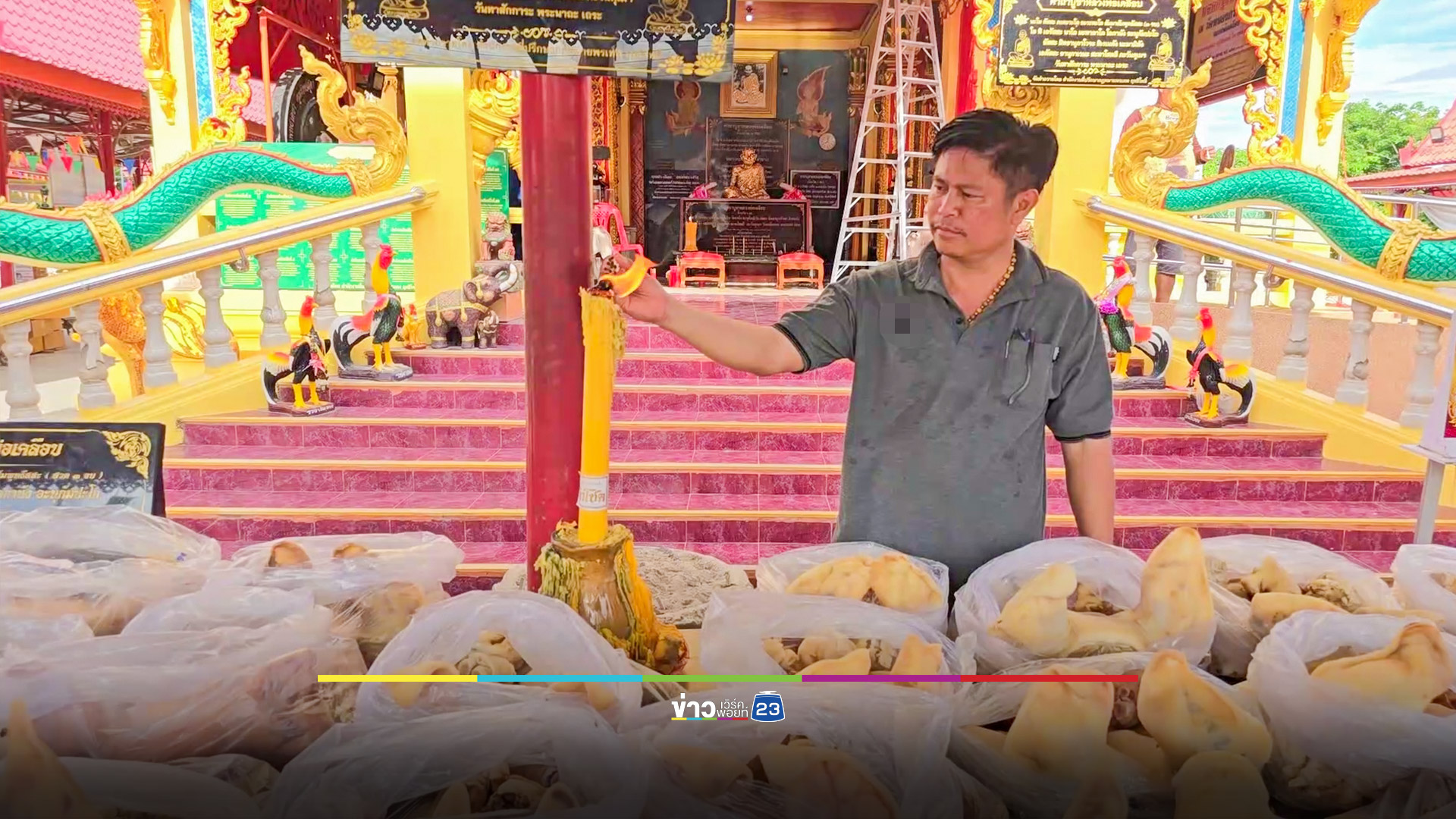 ขนหัวหมู 100 หัว แก้บนหลวงพ่อเคลือบวาจาสิทธิ์ ส่องอีกเลขเด็ด