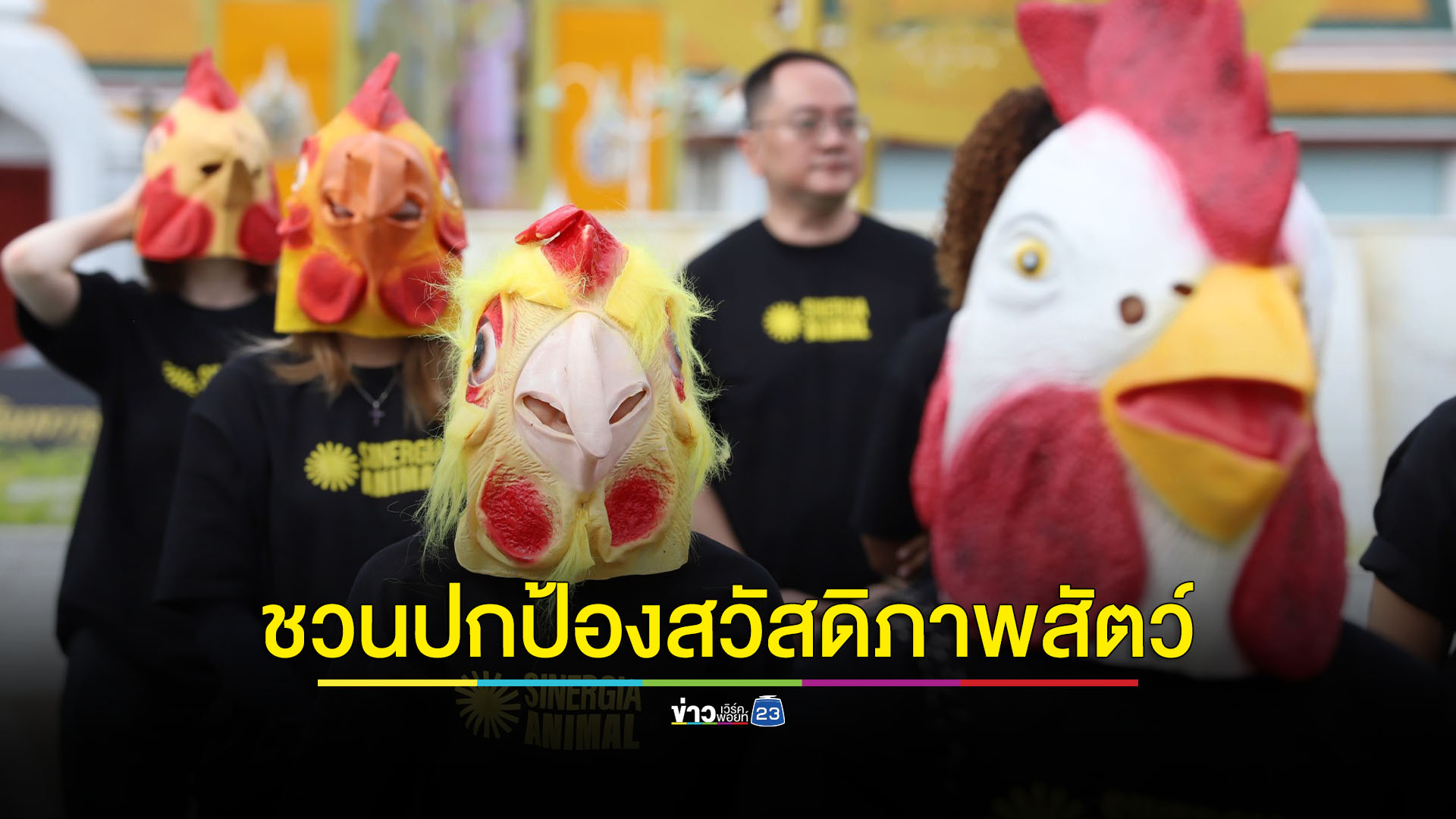 คืนความยุติธรรมให้สัตว์! องค์กรพิทักษ์ฯ ชวนคนไทยปกป้องสวัสดิภาพสัตว์
