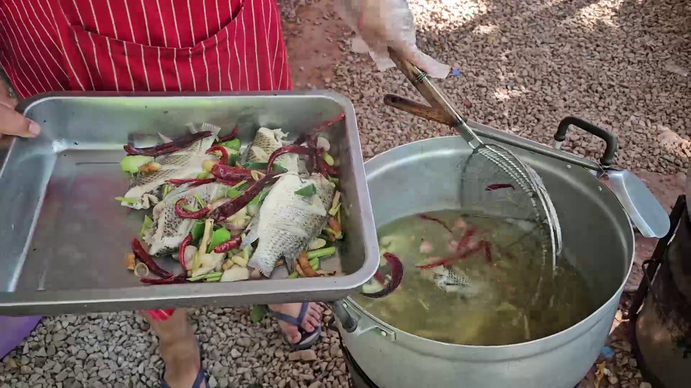 วัดดังเลี้ยงฟรีขนมจีนน้ำยา 'ปลาหมอคางดำ' ถวายเป็นพระราชกุศล