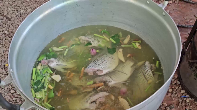 วัดดังเลี้ยงฟรีขนมจีนน้ำยา 'ปลาหมอคางดำ' ถวายเป็นพระราชกุศล