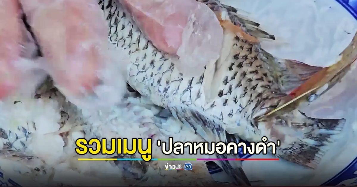 วัดดังเลี้ยงฟรีขนมจีนน้ำยา 'ปลาหมอคางดำ' ถวายเป็นพระราชกุศล