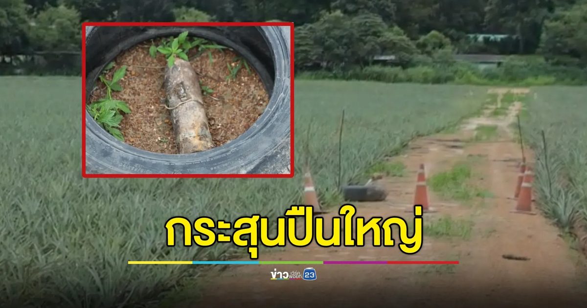 มายังไง! เจอกระสุนปืนใหญ่ตกอยู่กลางไร่สับปะรด