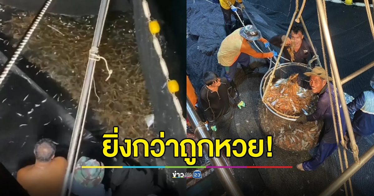 ยิ่งกว่าถูกหวย! ลงอวนคืนเดียวได้กุ้งแชบ๊วย 5 ตัน