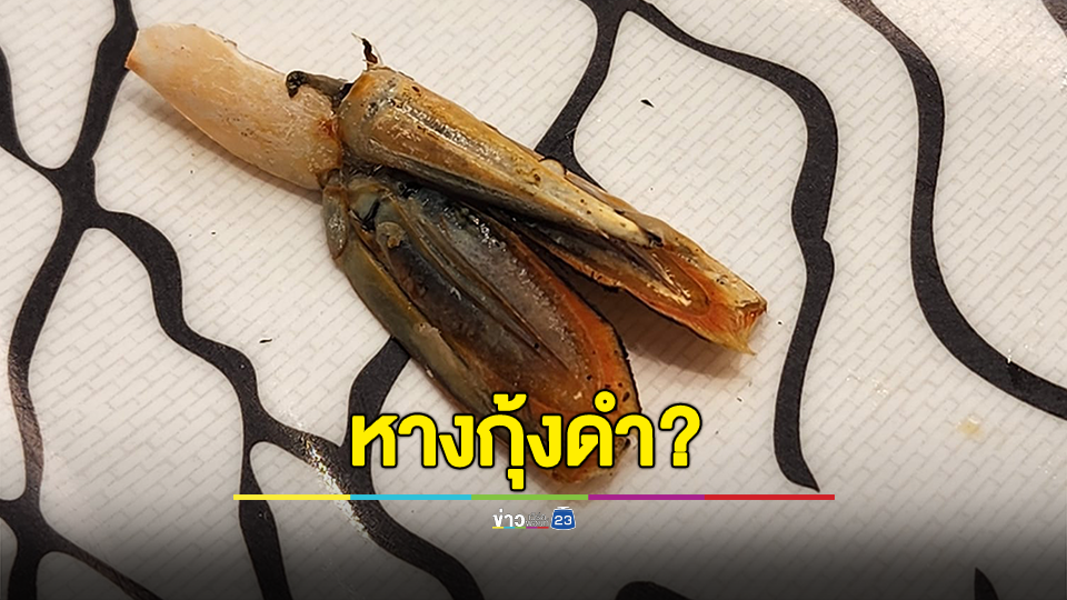ผู้บริโภครีวิวหลังไปทานซูชิสายพาน เจอสิ่งนี้ ผู้ช่วยผู้จัดการร้านโทรมาบอกคือ "หางกุ้งดำ"