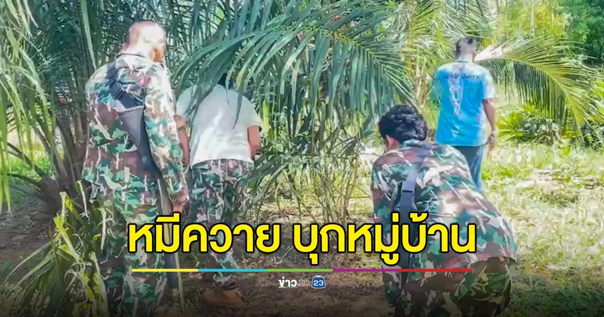 "หมีควาย" บุกหมู่บ้าน ทำพืชผลเสียหายเพียบ จนท.เร่งล่าตัว