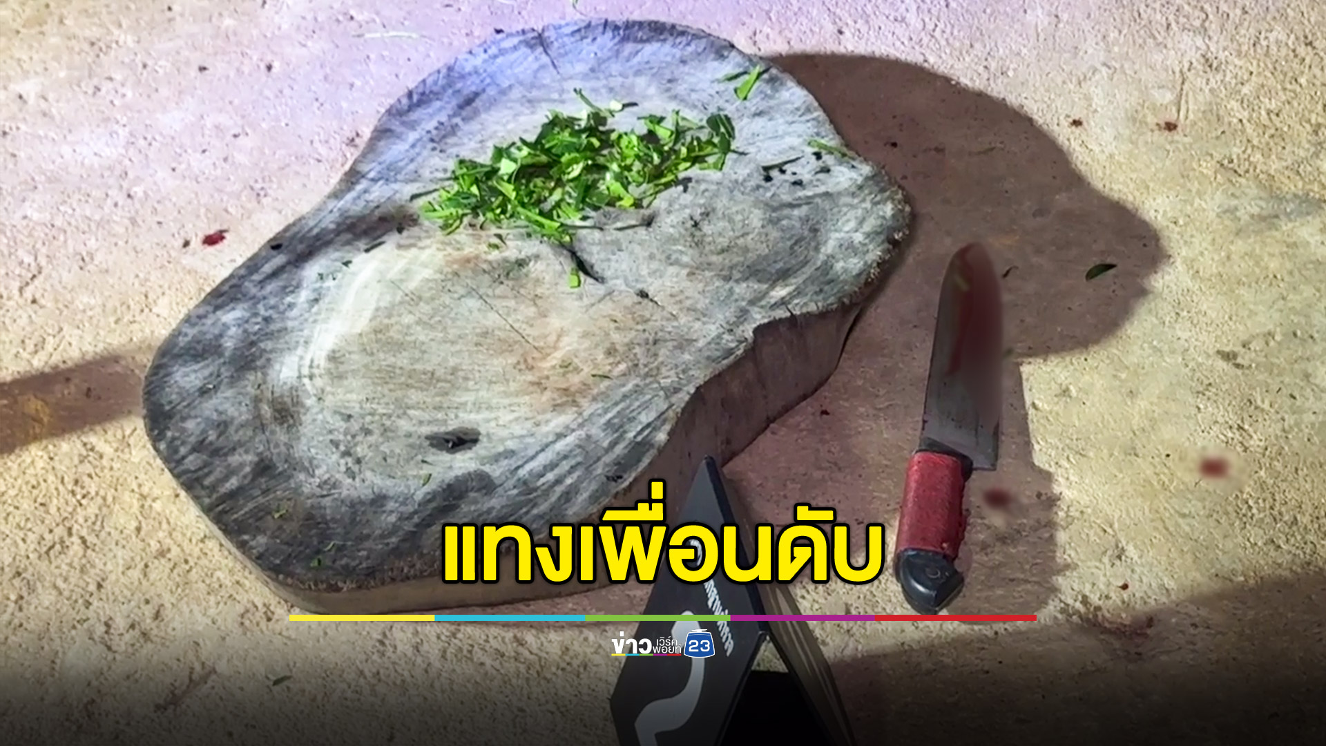 ทำกับข้าว เพื่อนพูดไม่เข้าหู คว้ามีดแทงดับคาบ้าน