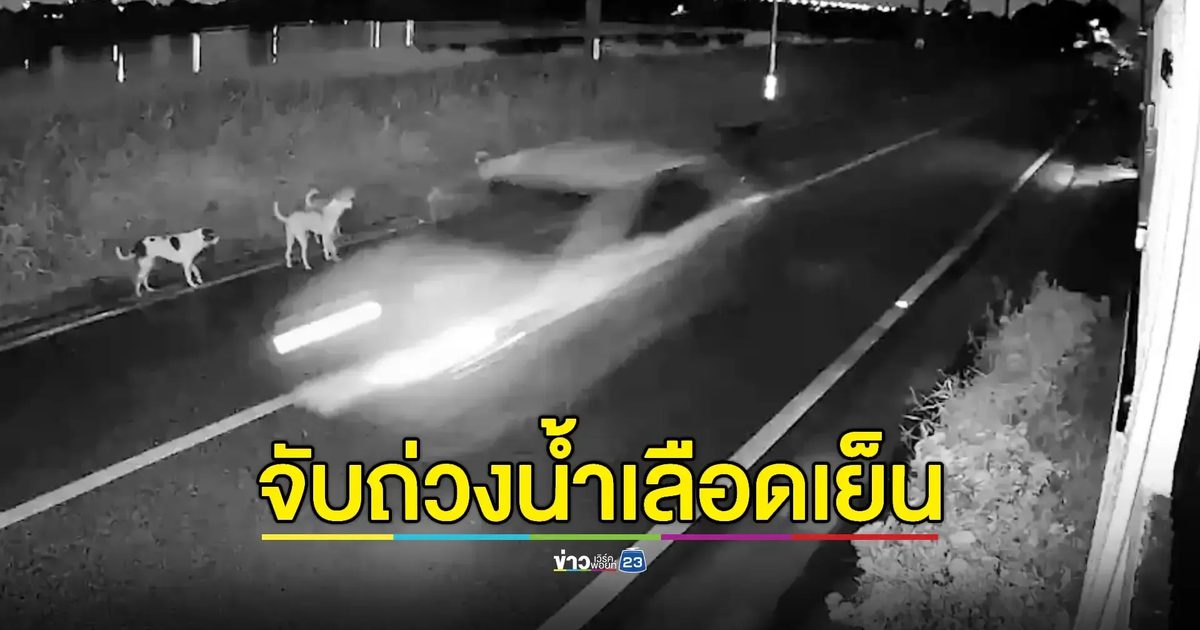 จับแล้วหนุ่มเมียนมาฆ่าโหดโชเฟอร์แท็กซี่