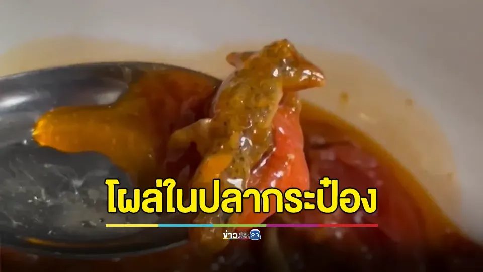 ขนลุก! สั่งปลากระป๋องยี่ห้อดัง เปิดทำอาหารคิดว่าไข่ปลาสุก เกลี่ยไปมาผงะเป็นจิ้งจก