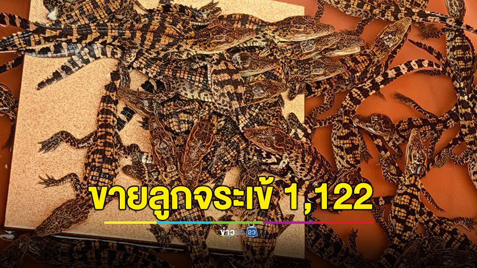 ฟาร์มจระเข้ดัง จัดโปรโมชั่นสุดพิเศษสำหรับวันแม่ปีนี้ เบบี๋ตัวน้อยรวมส่ง 1,122 บ.
