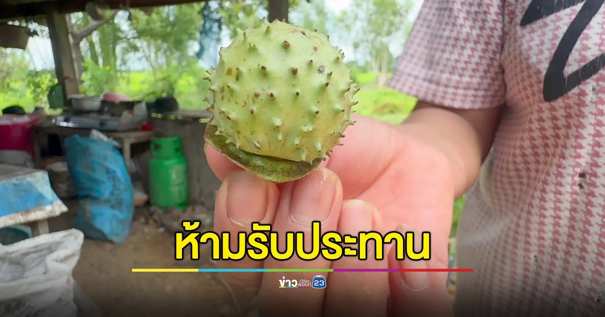 เมียต้มมะเขือบ้าให้ผัวกินหวังให้เลิกเหล้า เกิดแพ้รุนแรง สุดท้ายต้องหามส่งโรงพยาบาล