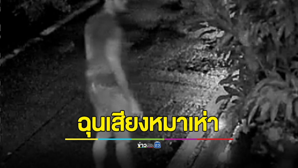 หมาเป็นเหตุ! เพื่อนบ้านฉุนเสียงหมาเห่าอดทนมานาน 2 ปี ฟิวส์ขาดปาขวดใส่บ้าน