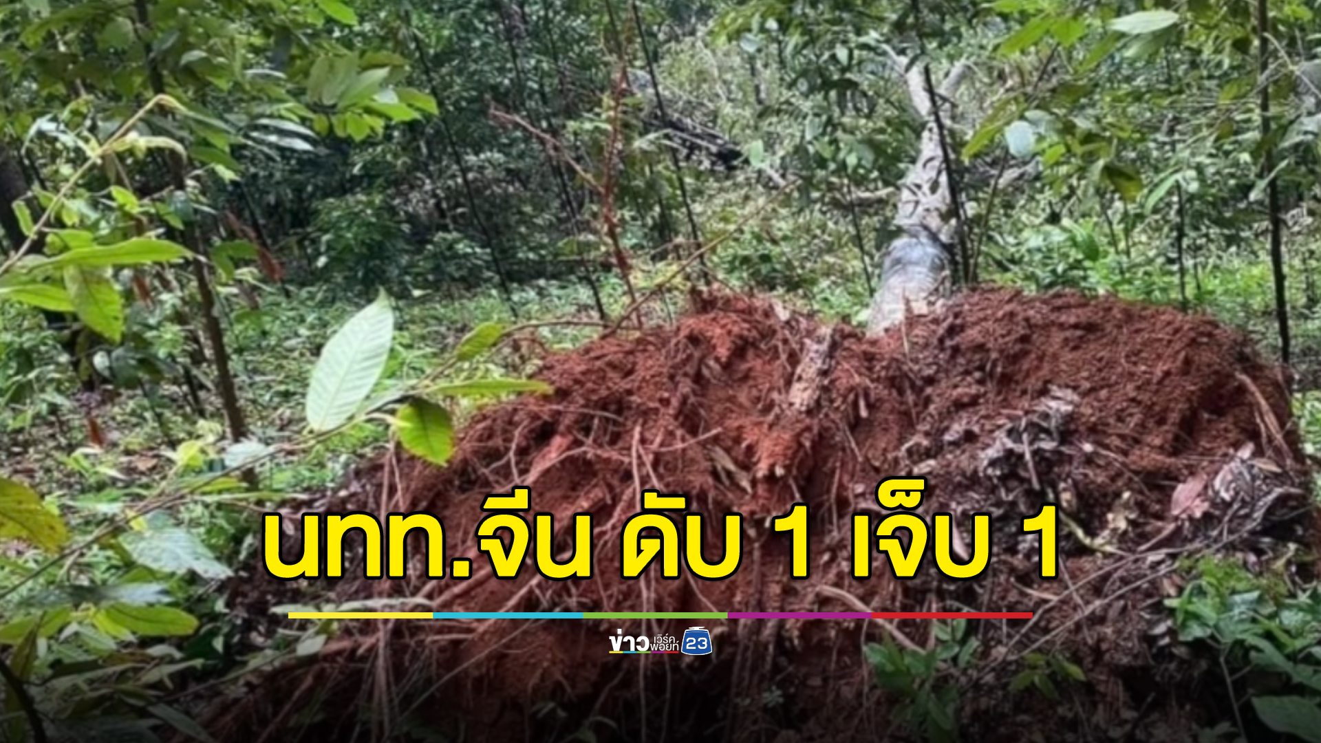 ต้นไม้ล้มทับสะพานสลิง นทท.จีน ตกสะพาน ดับ 1 เจ็บ 1