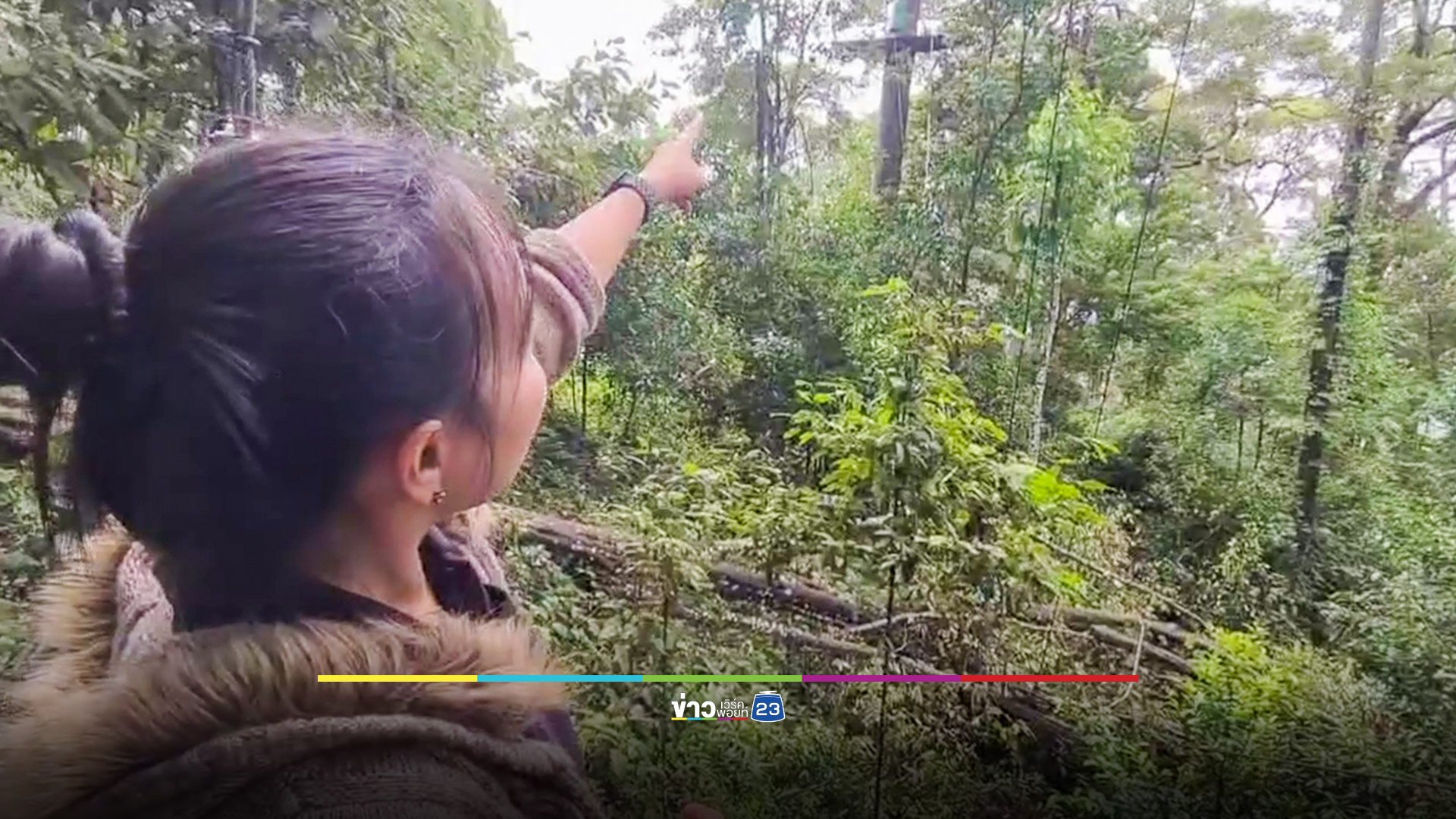 ต้นไม้ล้มทับ Zipline นทท.จีนดับ 1 เจ็บ 1 เจ้าของยันเหตุสุดวิสัย