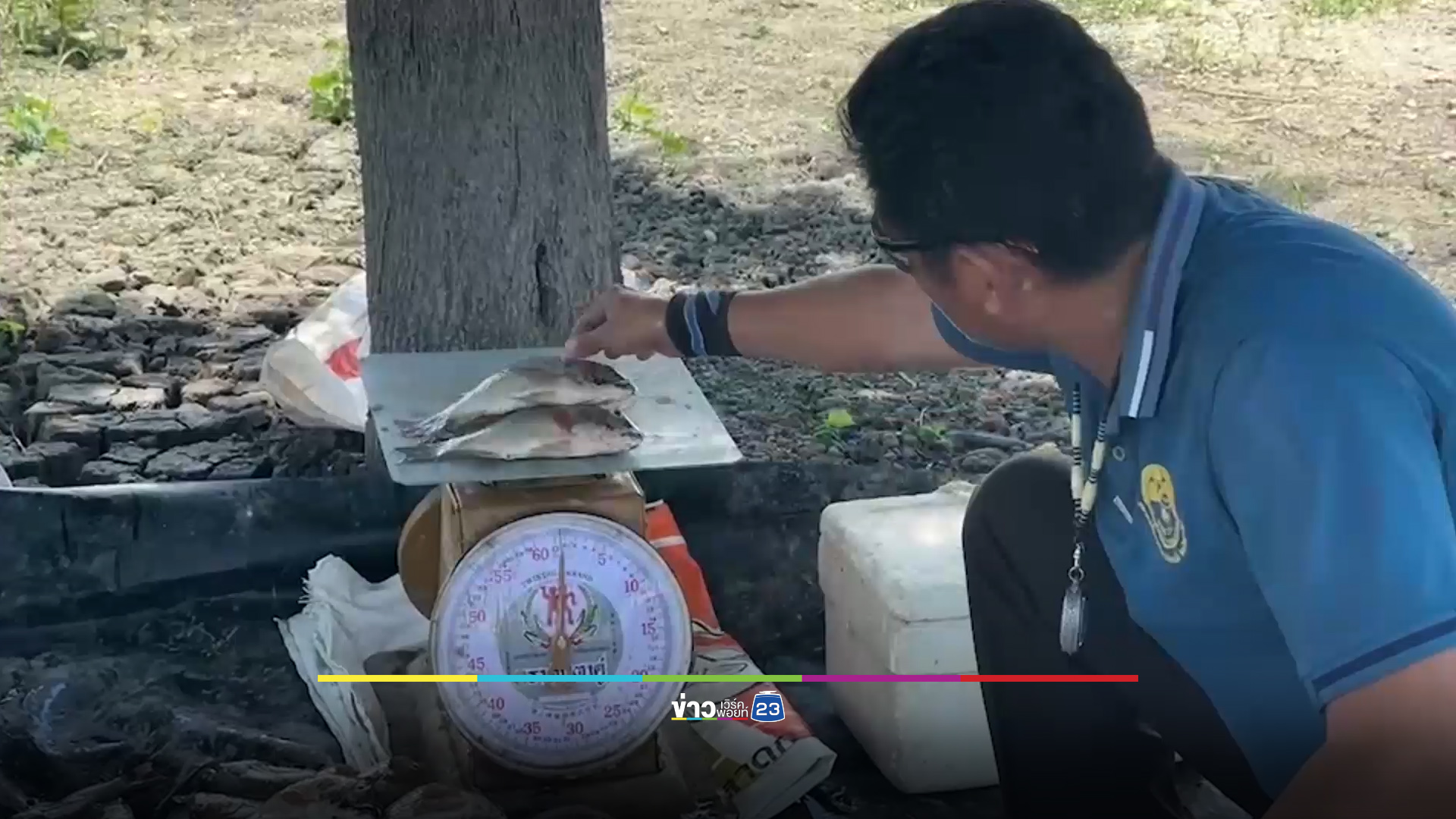 เชื่อกิน “ปลาหมอคางดำ” รักษาด่างขาว หมอแจงไม่เกี่ยวกัน