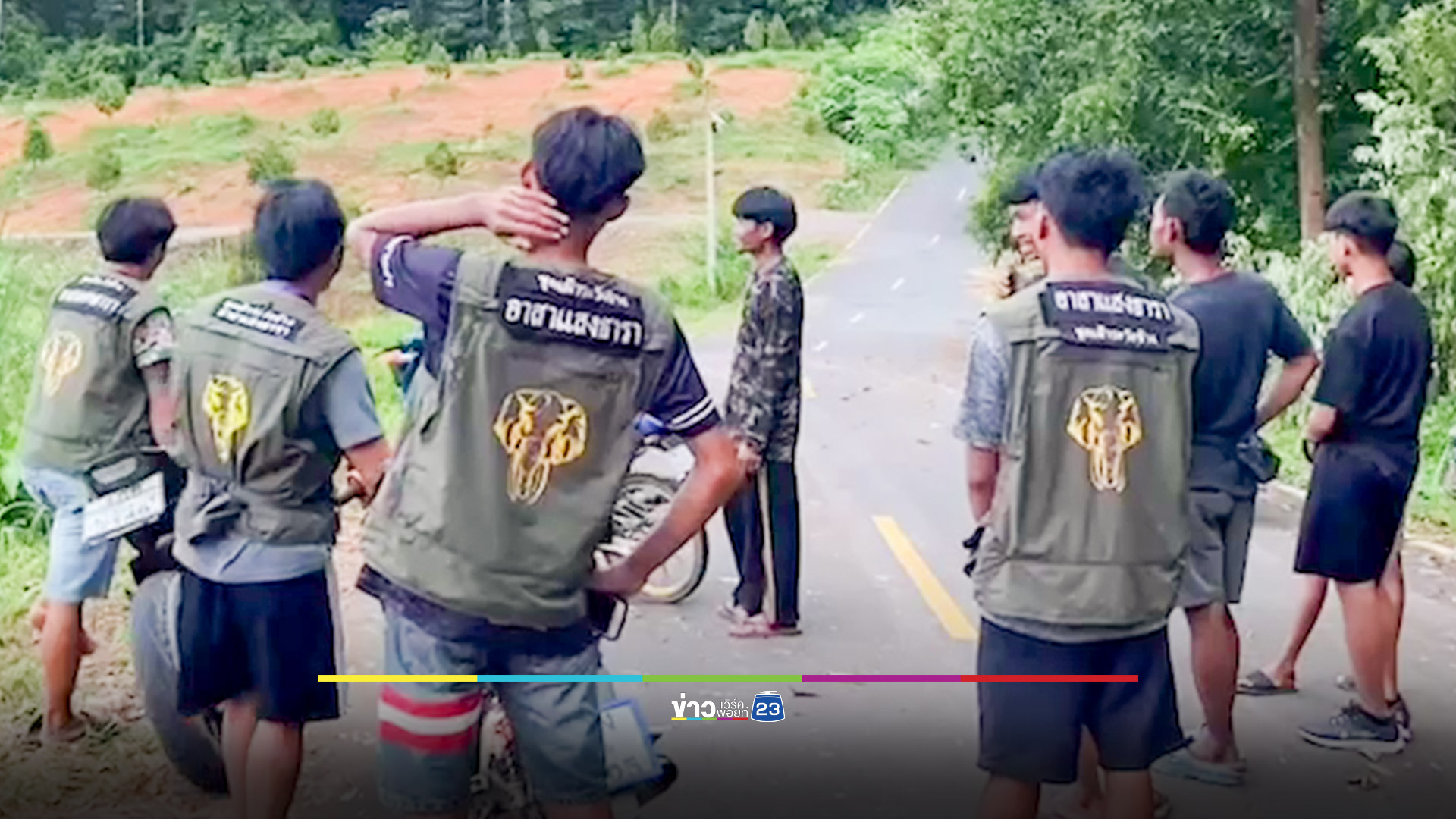ผวา! โขลงช้างป่าเดินบนถนน