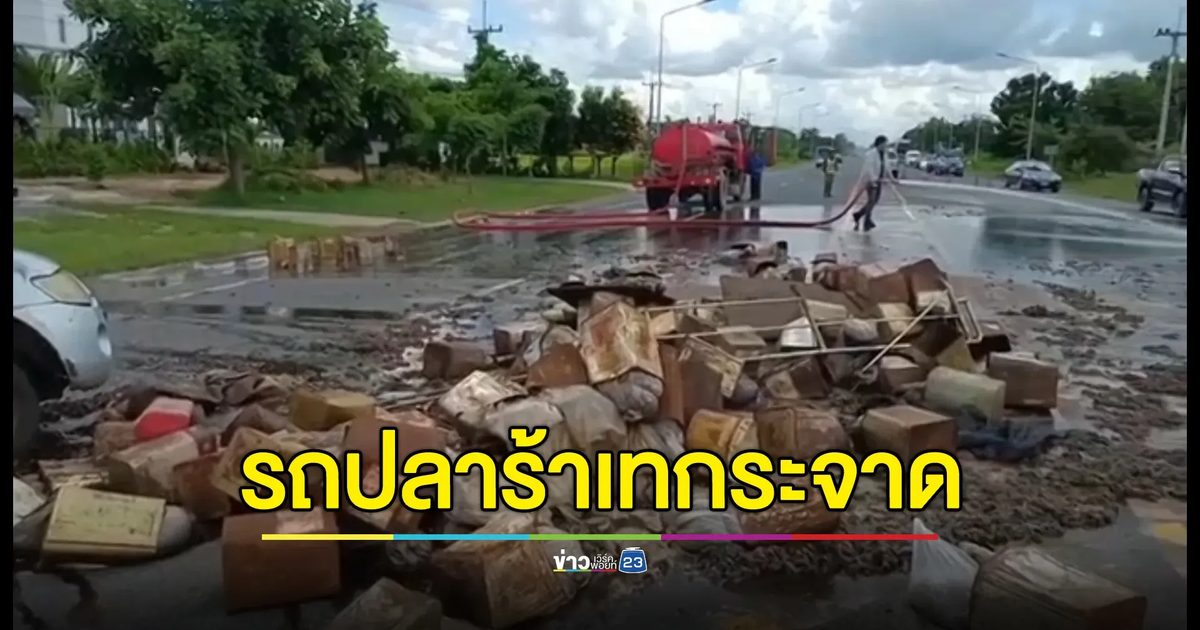 กระบะบรรทุกปลาร้าเต็มลำ ยางระเบิดปลาร้ากระจายเต็มถนน