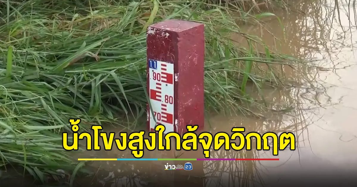 น้ำโขงใกล้จุดวิกฤต เทศบาลหนองคายเตรียมรับมือ