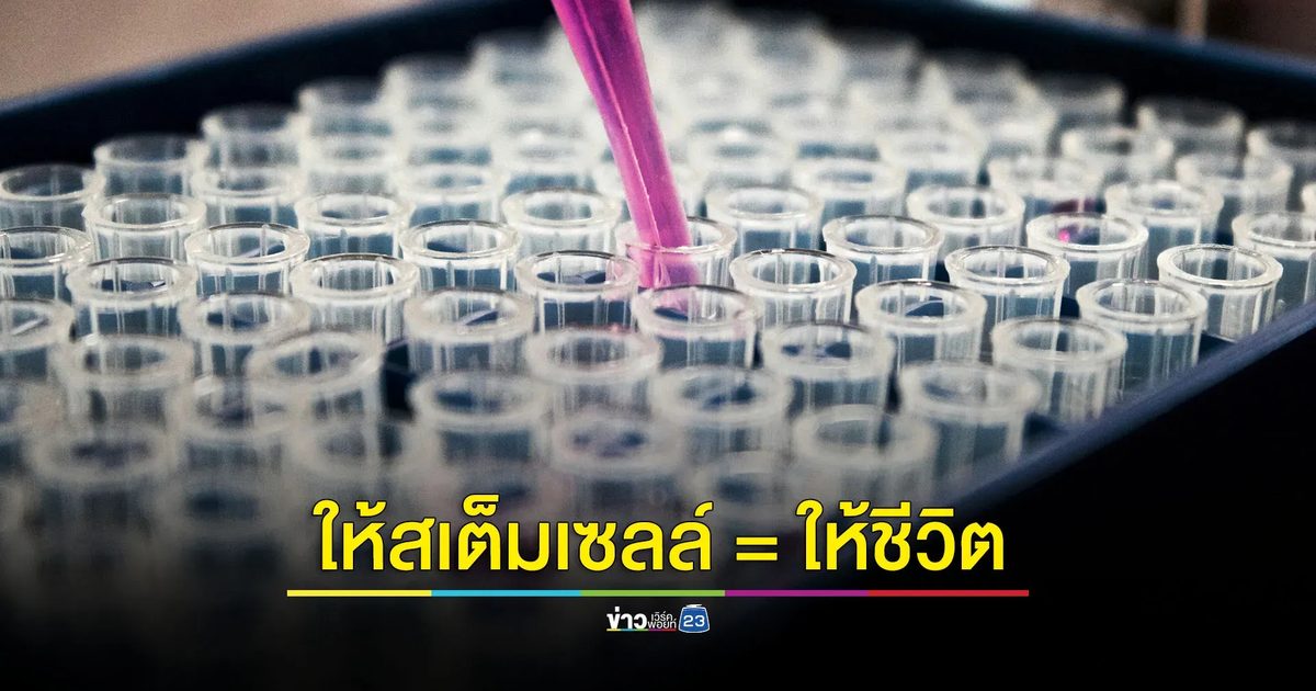 วันผู้บริจาคสเต็มเซลล์โลก 2567 10 ปี แห่งการให้... ให้ STEM CELLS = ให้ชีวิต”