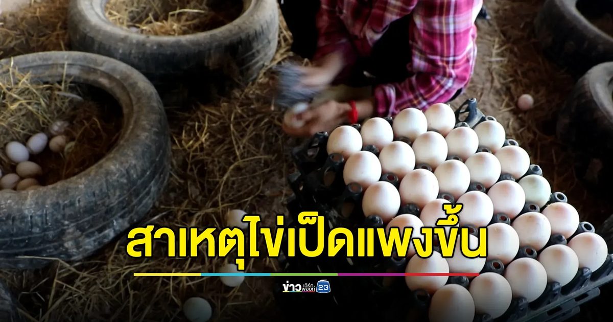เปิดต้นเหตุปัจจัยทำให้"ไข่เป็ด"ปรับราคาสูงขึ้น