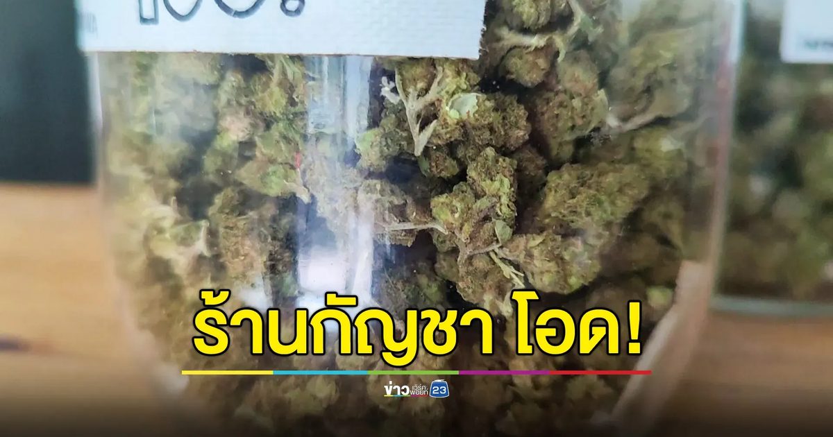 ร้านกัญชาโอด! หากรัฐให้กัญชากลับไปเป็นยาเสพติด หวังให้ทบทวน-หาทางออกให้ผู้ประกอบการ