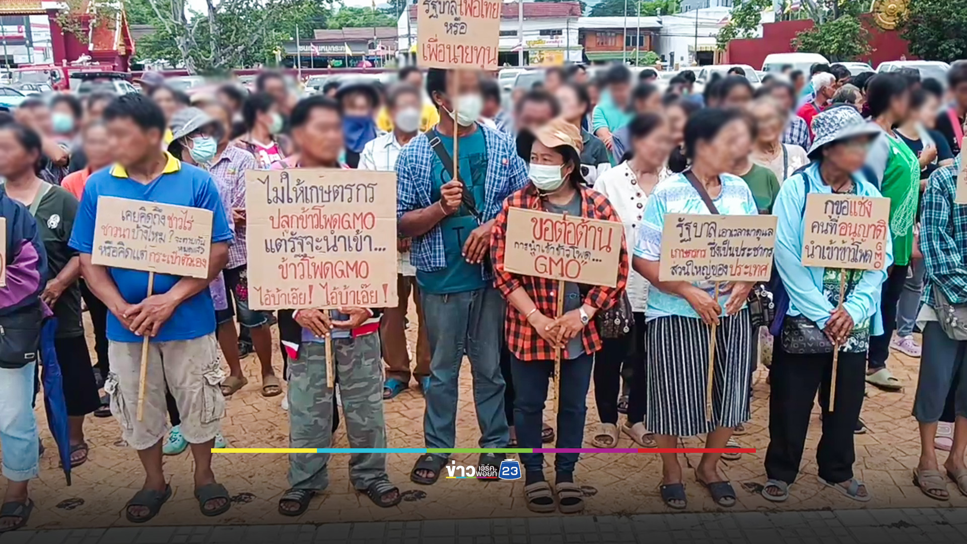 เกษตรกรผู้ปลูกข้าวโพดเพชรบูรณ์ คัดค้านการนำเข้าข้าวโพด GMO