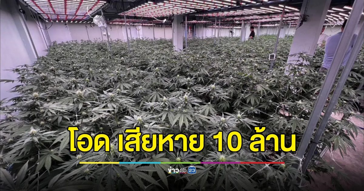 โอดเพิ่งเปิดร้านใหม่ได้ 2 วัน นโยบาย สธ.ทำเสียหาย 10 ล้าน
