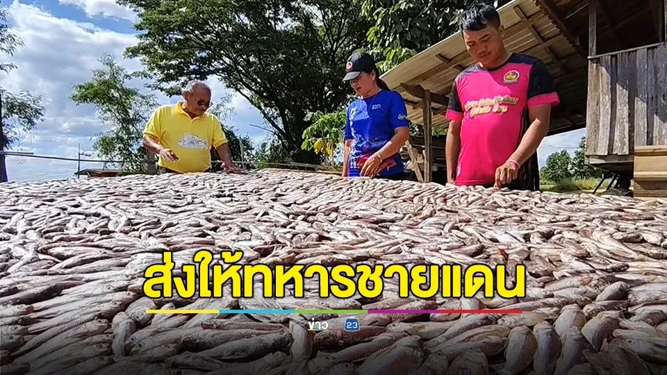 ขนปลา 2 เขื่อน 200 โล ทำแดดเดียว ส่งกำลังใจทหารชายแดน