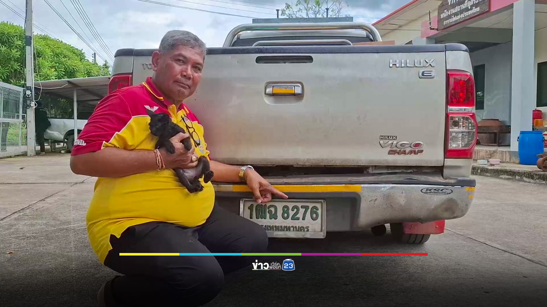 ลูกแมวเกาะท้องรถ ไกล240 กม.เชื่อมาให้โชค เจ้าหน้าที่ใจบุญรับเลี้ยงไว้