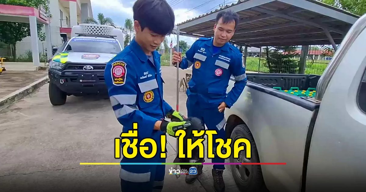 ลูกแมวเกาะท้องรถ ไกล240 กม.เชื่อมาให้โชค เจ้าหน้าที่ใจบุญรับเลี้ยงไว้