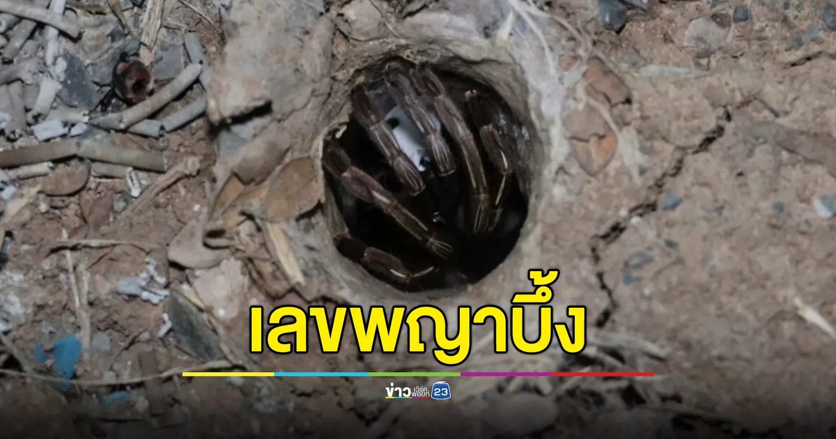 นักเสี่ยงโชคทำพิธีขอตัวเลขพญาบึ้ง ได้เลข 3 ตัว นำไปลุ้นงวดนี้
